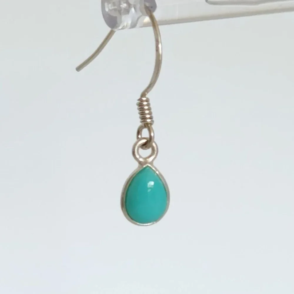 Sonoran Turquoise Earrings in Sterling Silver
